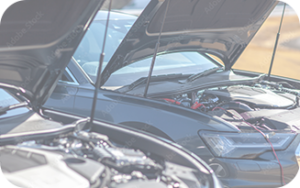 AdobeStock_279808281_Preview